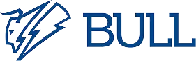 BULL